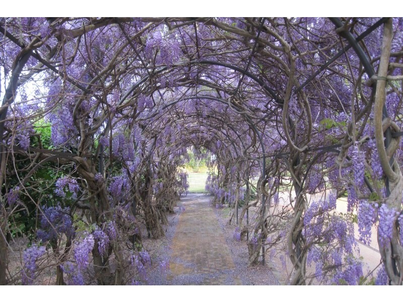 11 McLeod Road, Middle Dural NSW 2158