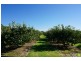 65 Cranstons Road, Middle Dural NSW 2158