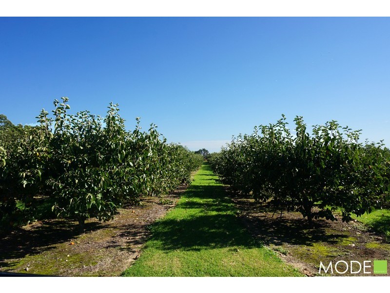 65 Cranstons Road, Middle Dural NSW 2158