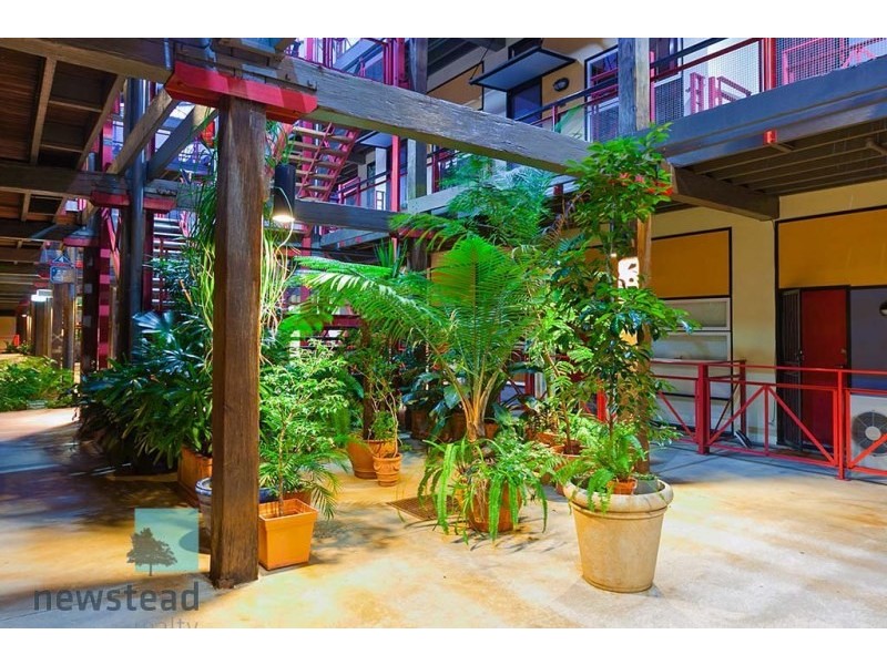 53 Vernon Terrace, Teneriffe QLD 4005