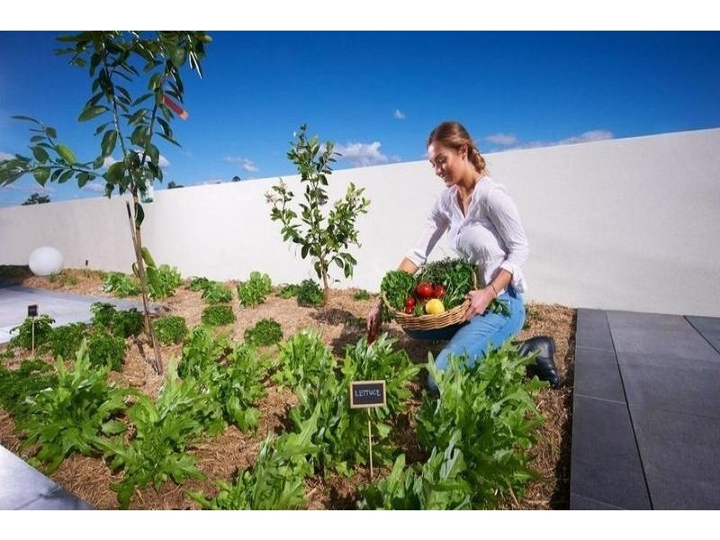 902/53 Wyandra Street, Teneriffe QLD 4005