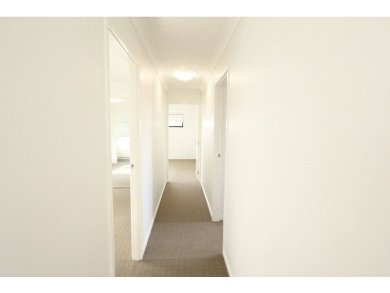 39 Lilley Street, Hendra QLD 4011