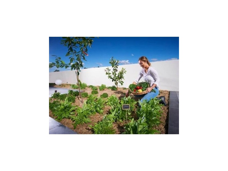 606/53 Wyandra Street, Teneriffe QLD 4005