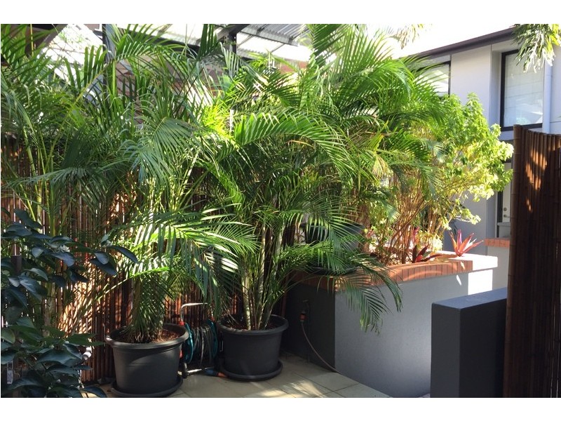 139 Commercial Road, Teneriffe QLD 4005