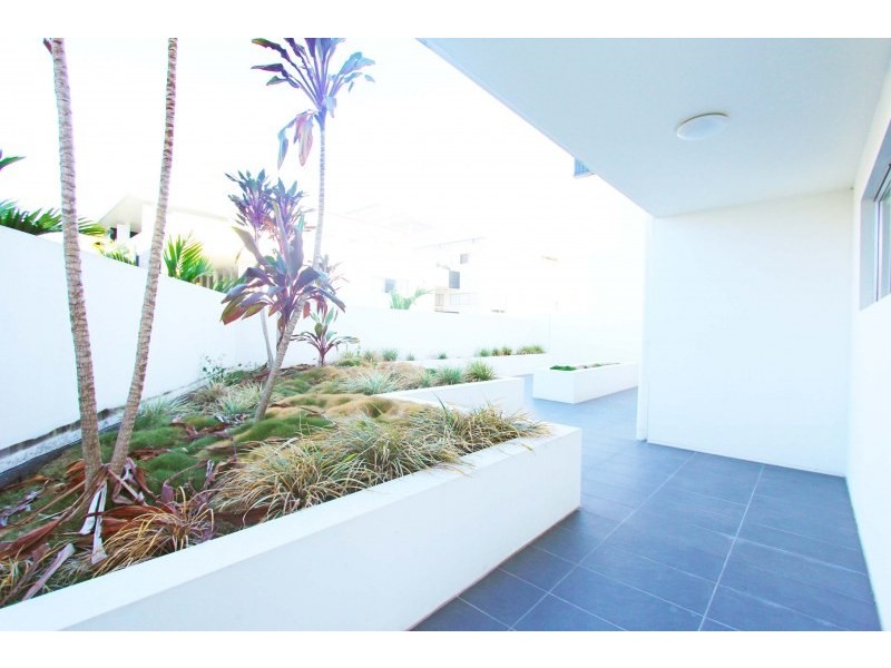 29/46 Addison Avenue, Bulimba QLD 4171