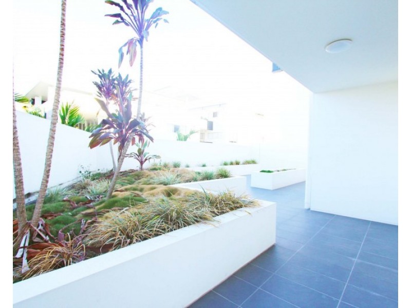 29/46 Addison Avenue, Bulimba QLD 4171