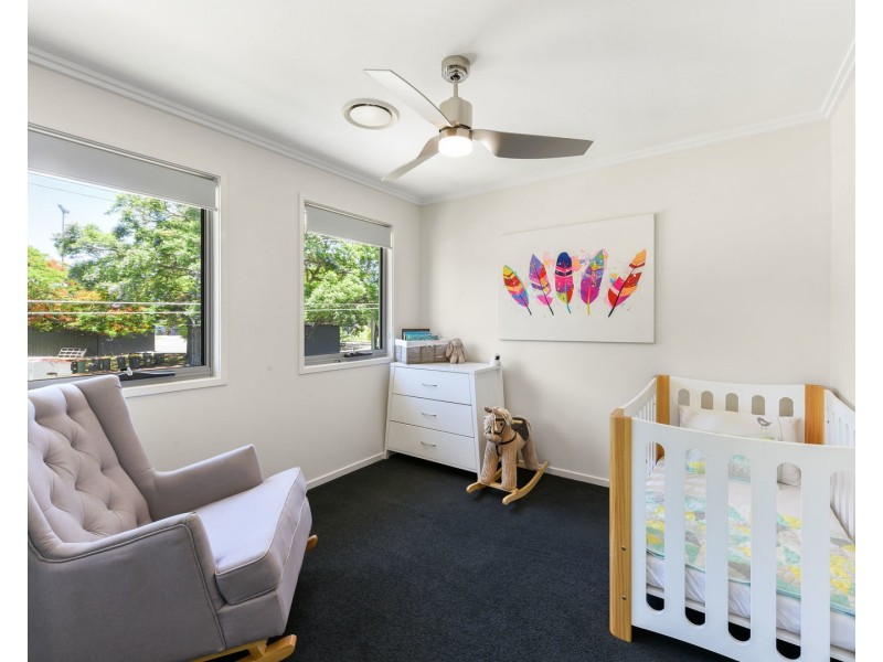 38 Halifax Street, Coorparoo QLD 4151