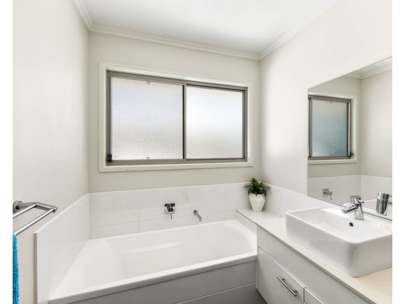 38 Halifax Street, Coorparoo QLD 4151