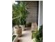 Unit 3/351A Edgecliff Road, Bondi Junction NSW 2022