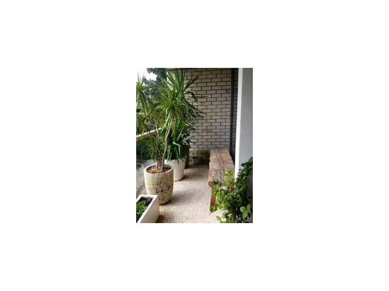 Unit 3/351A Edgecliff Road, Bondi Junction NSW 2022