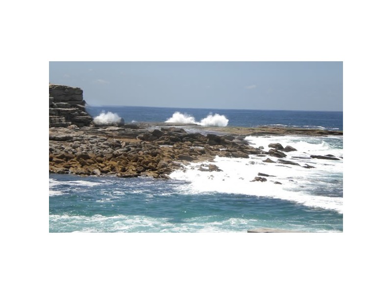 Unit 6/128 Clovelly Road, Randwick NSW 2031