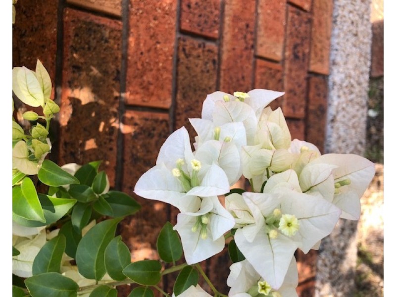 2/128 Clovelly Road, Randwick NSW 2031