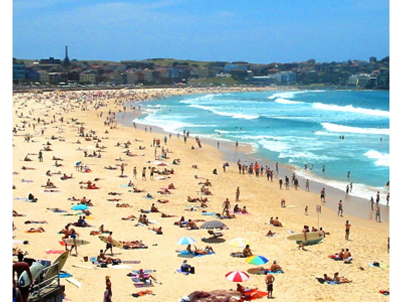 4/11 Castlefield Street, Bondi Beach NSW 2026