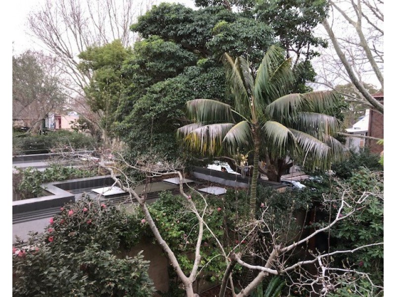 2/135 Queen Street, Woollahra NSW 2025