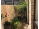 17/6-8 Penkivil Street, Bondi NSW 2026