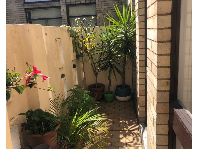 17/6-8 Penkivil Street, Bondi NSW 2026