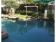 56A Waring Street, Marsfield NSW 2122