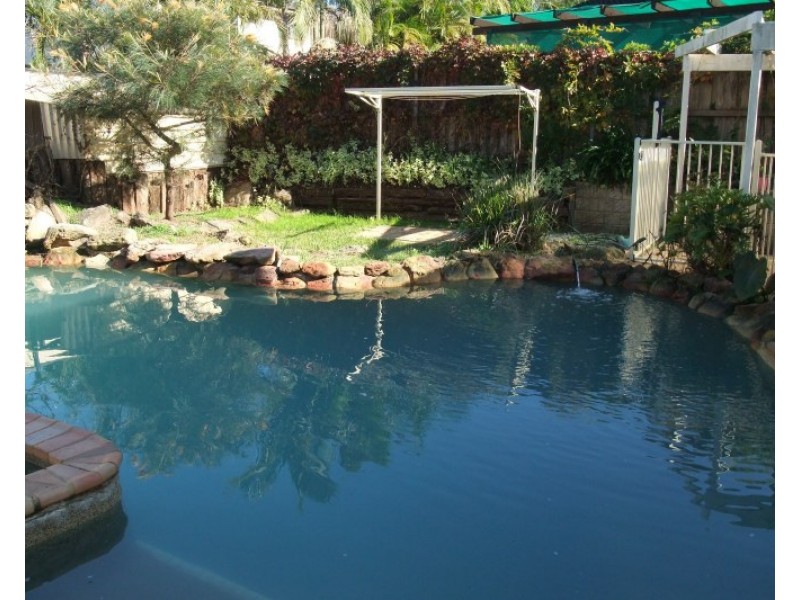 56A Waring Street, Marsfield NSW 2122