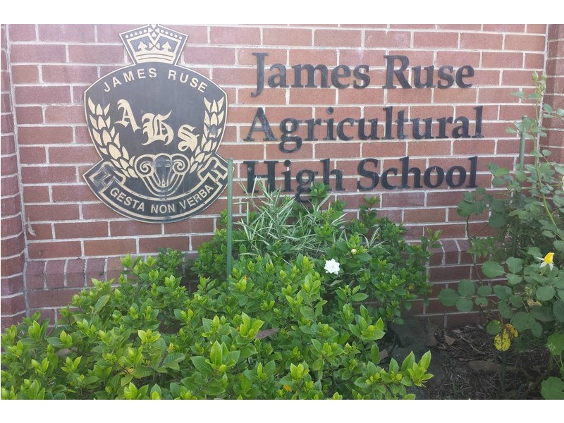 14 Felton Road, Carlingford NSW 2118