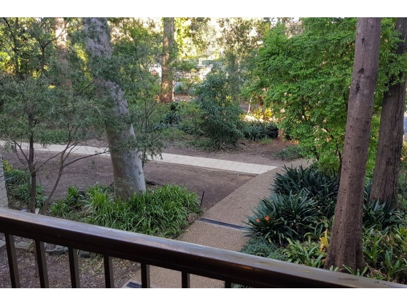 21/205 Waterloo Road, Marsfield NSW 2122