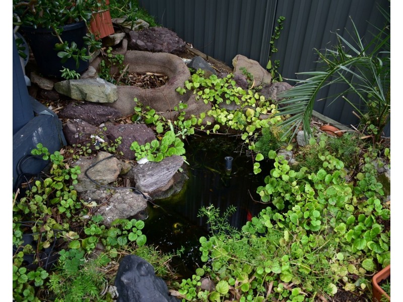 23 Glanmire Road, Baulkham Hills NSW 2153