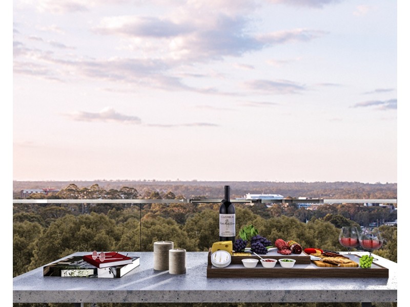 2/ 9 Peach Tree Road, Macquarie Park NSW 2113