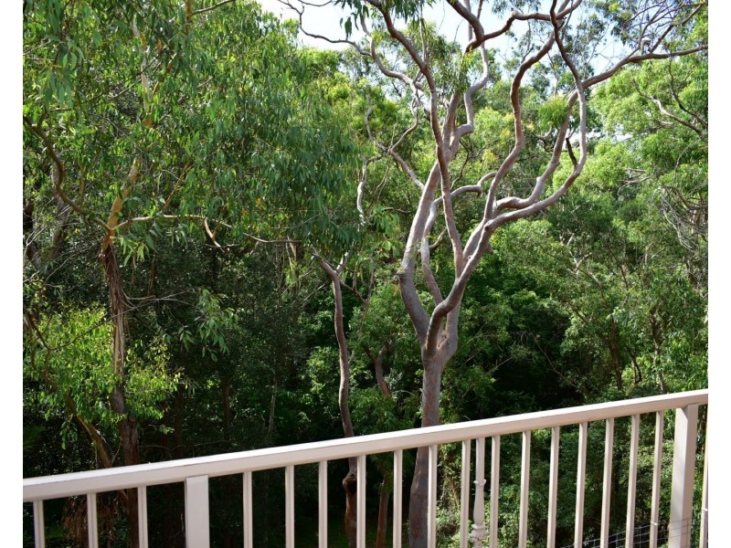 53/106 Crimea Road, Marsfield NSW 2122