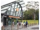 124 Vimiera Road, Marsfield NSW 2122