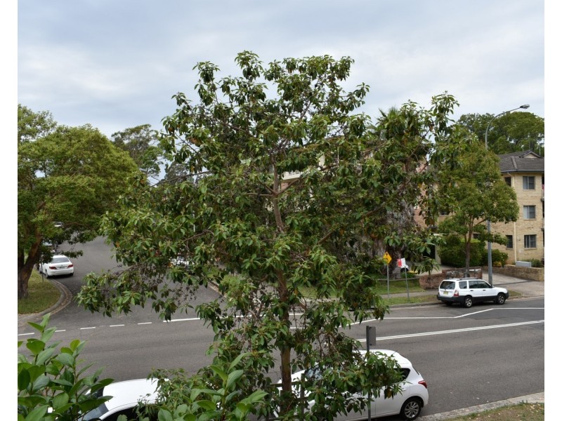 4/33 Bridge Street, Epping NSW 2121