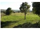 3848 Murringo Road, Young NSW 2594