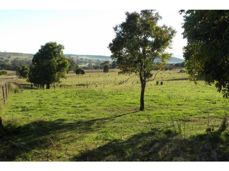 3848 Murringo Road, Young NSW 2594