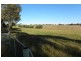 3848 Murringo Road, Young NSW 2594