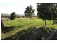3848 Murringo Road, Young NSW 2594