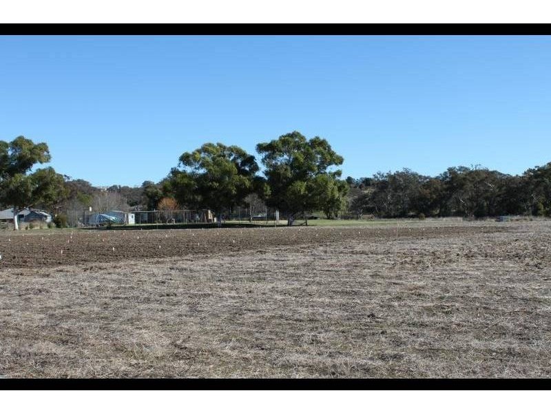 8 Spring Creek Road, Young NSW 2594