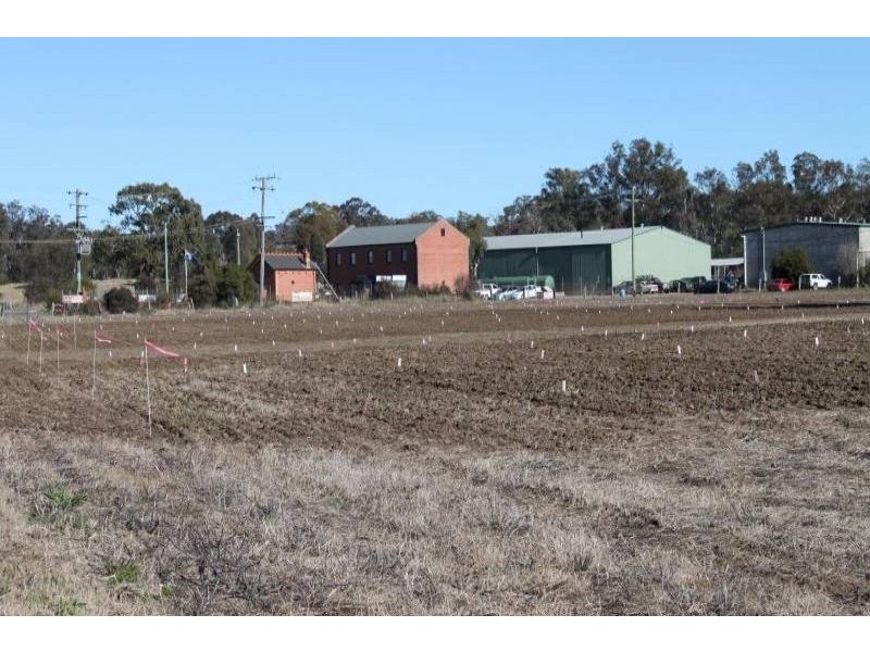 8 Spring Creek Road, Young NSW 2594