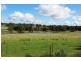 30 Kellys Road, Young NSW 2594