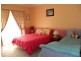 30 Kellys Road, Young NSW 2594