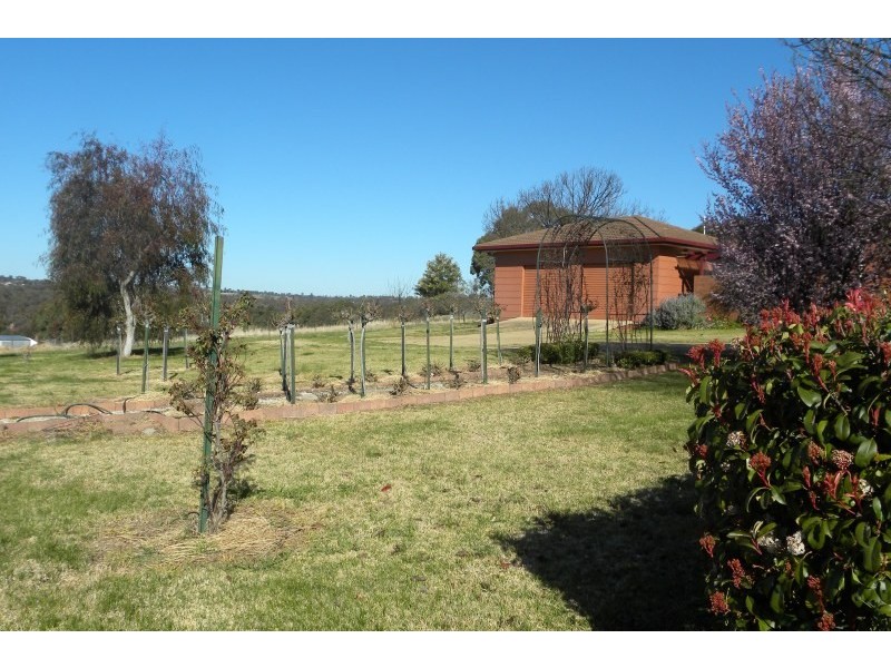 131 Willawong Street, Young NSW 2594