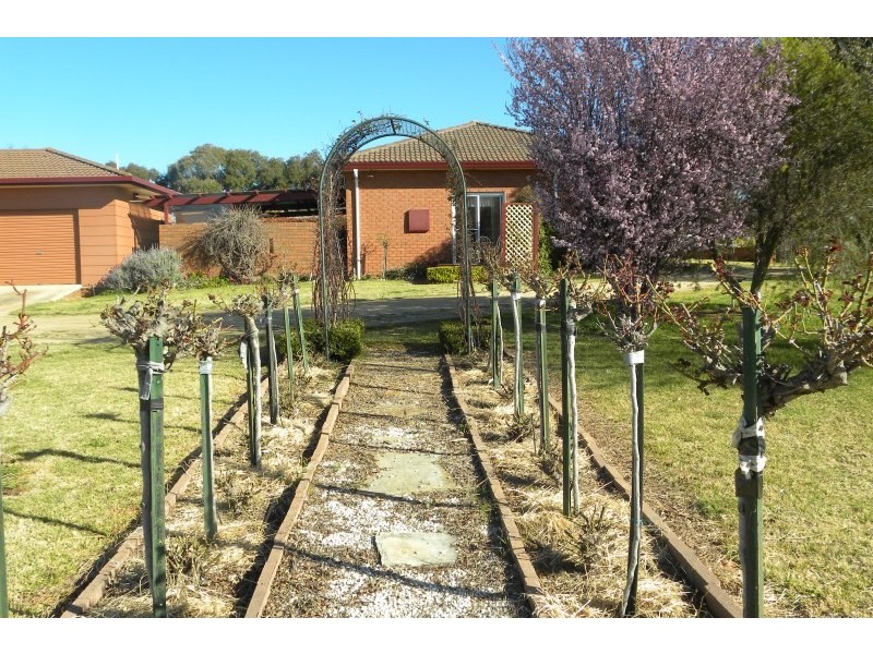 131 Willawong Street, Young NSW 2594