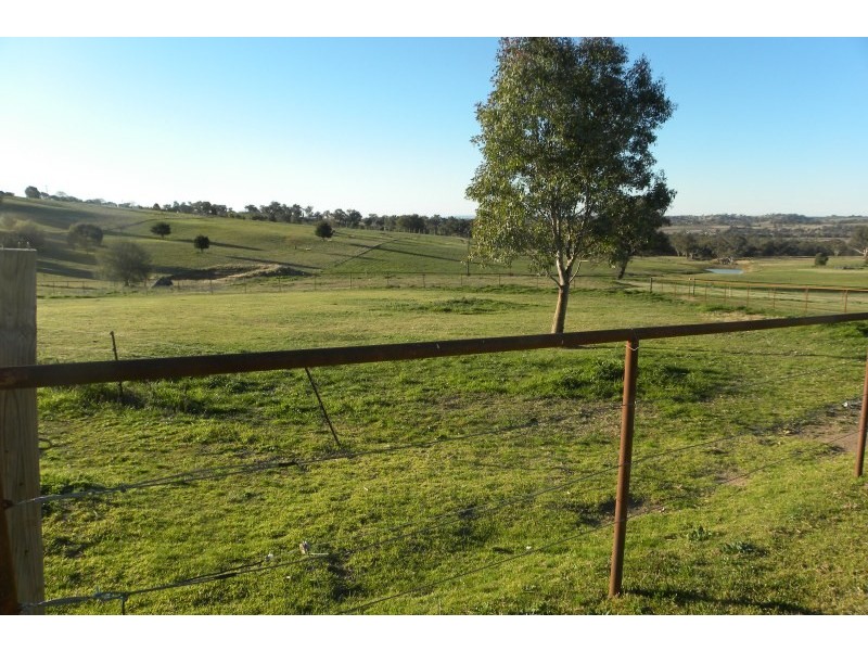 98 Belmore Road, Young NSW 2594