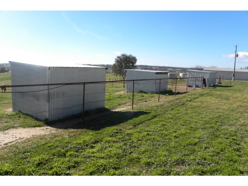 98 Belmore Road, Young NSW 2594