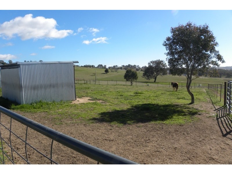 98 Belmore Road, Young NSW 2594