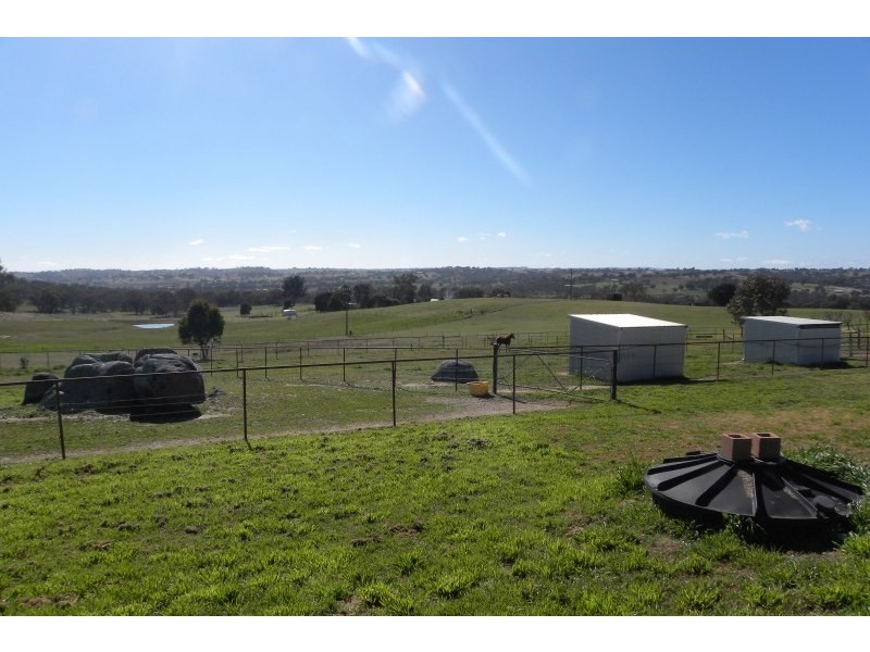 98 Belmore Road, Young NSW 2594