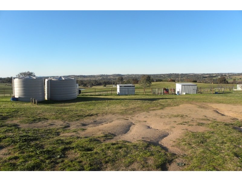 98 Belmore Road, Young NSW 2594