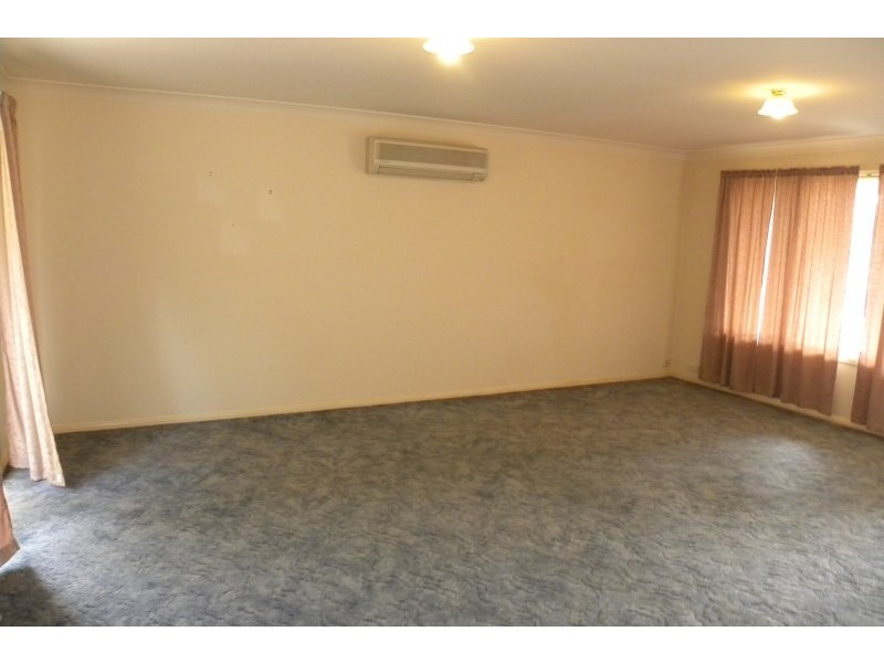 3 Petticoat Lane, Young NSW 2594