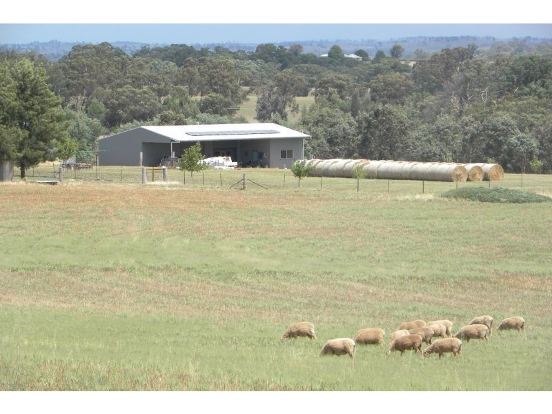 42 Woodlands Road Road, Young NSW 2594