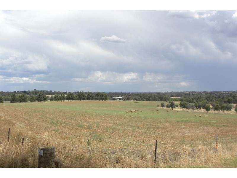 42 Woodlands Road Road, Young NSW 2594