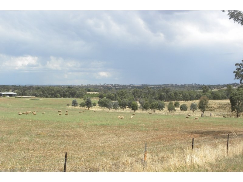 42 Woodlands Road Road, Young NSW 2594