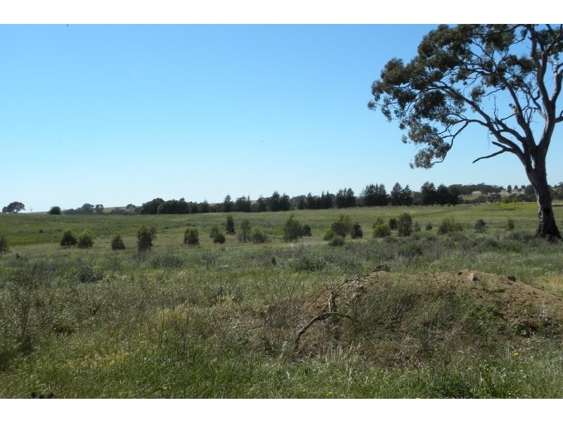 42 Woodlands Road Road, Young NSW 2594