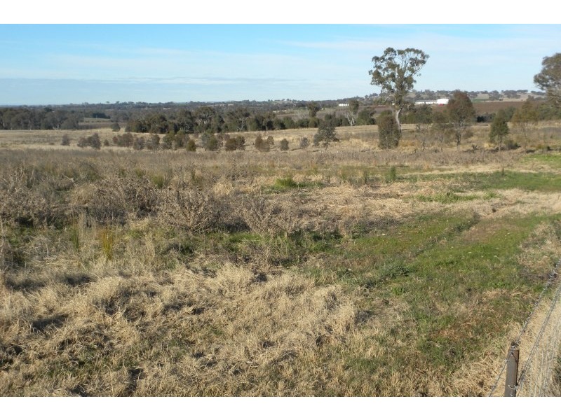 42 Woodlands Road Road, Young NSW 2594